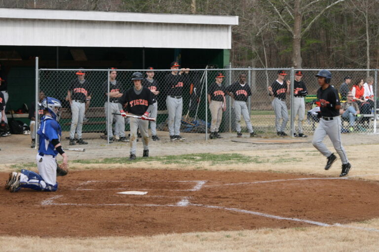 Tigers Bring in  a Run